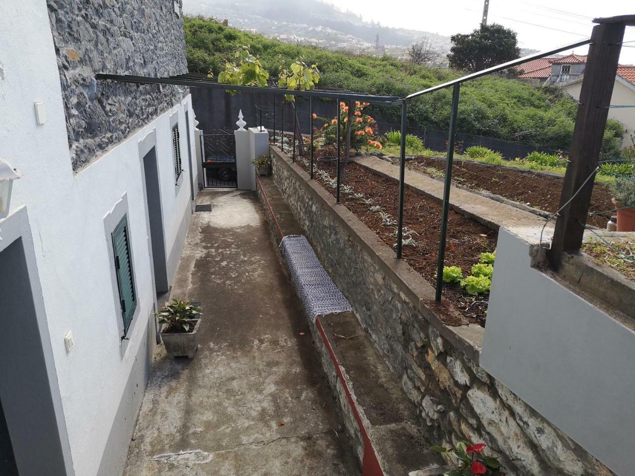 Madeira Inn Casa Da Paz Calheta  Zewnętrze zdjęcie