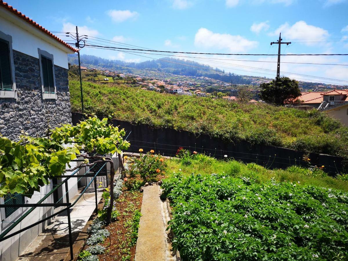 Madeira Inn Casa Da Paz Calheta  Zewnętrze zdjęcie
